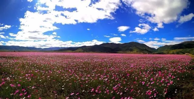 四川新增21个4a级景区 甘孜州5家景区上榜!