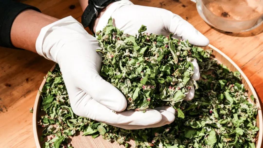 4c268207-f7af-471b-9e22-3cde8517949d