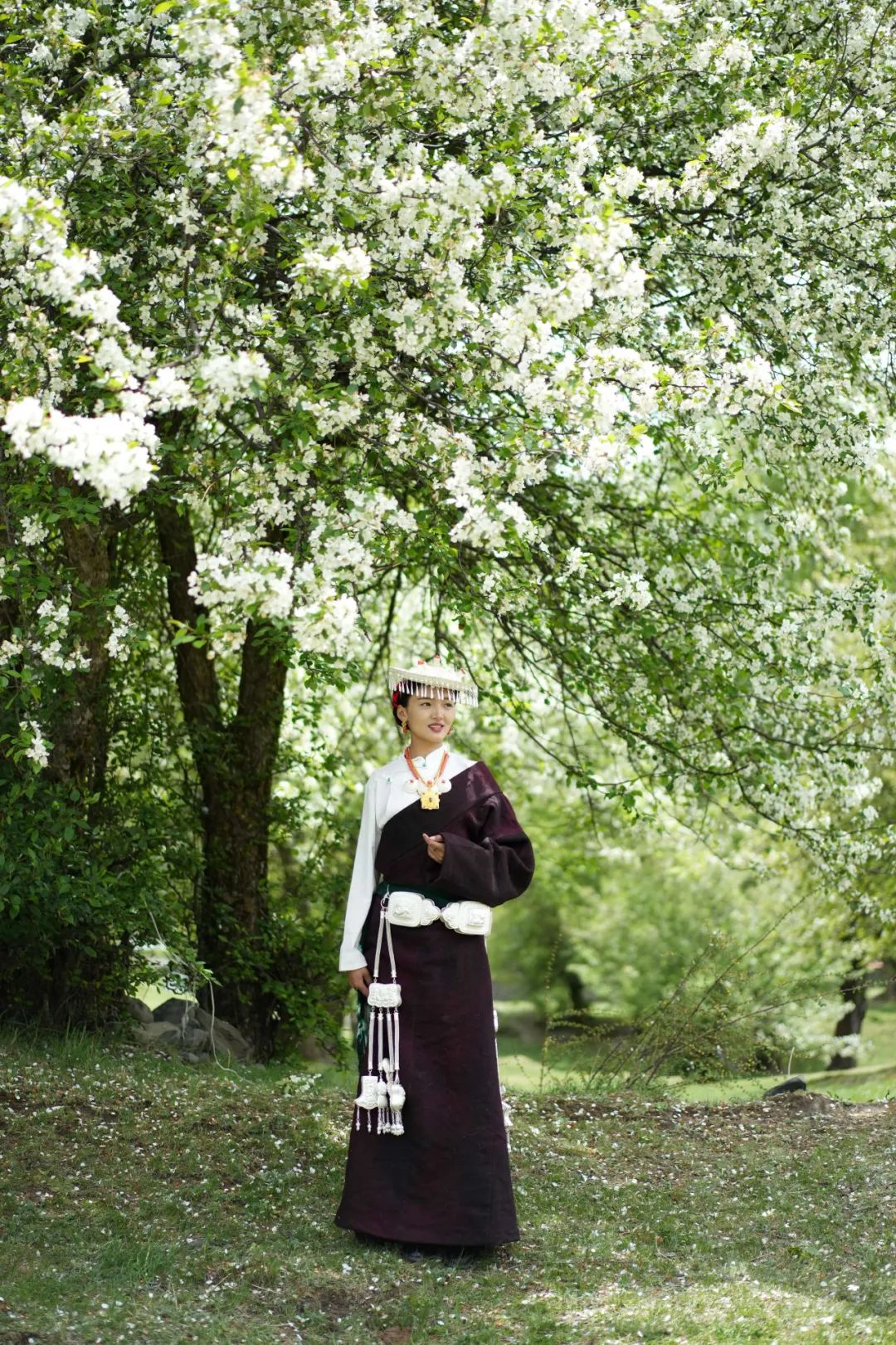 64db8e96-dc3a-46c1-a6f6-e2c13d0cec54