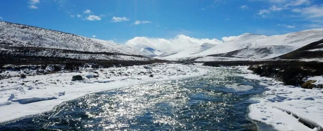 9a23f754-d919-4920-8dc8-a70be7594875